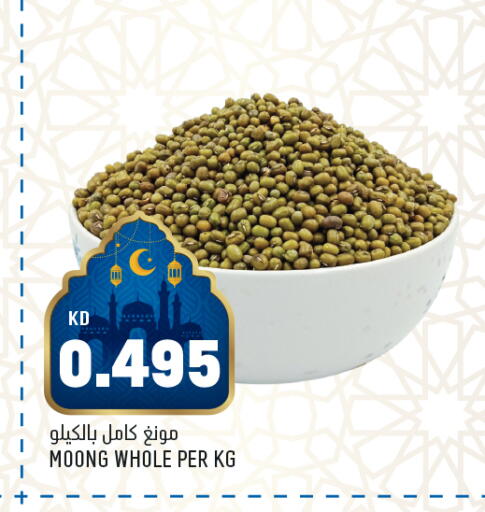 available at أونكوست in الكويت - محافظة الأحمدي