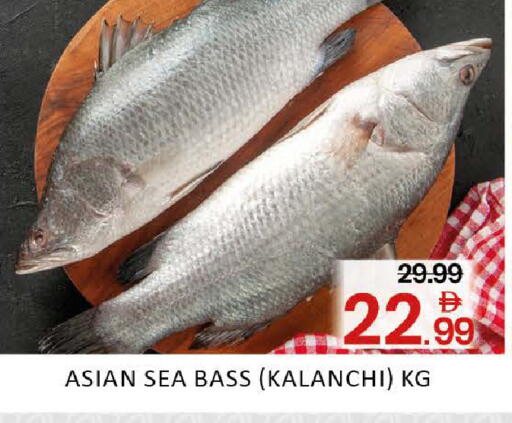 Mango available at مانجو هايبرماركت in الإمارات العربية المتحدة , الامارات - دبي