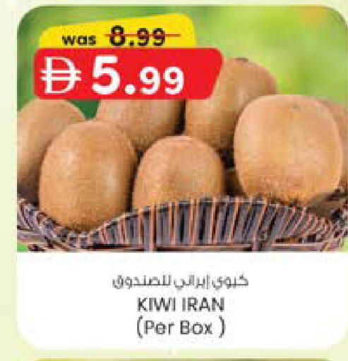 Kiwi from Iran available at ك. الم. للتجارة in الإمارات العربية المتحدة , الامارات - دبي