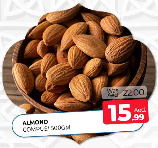 available at المدينة in الإمارات العربية المتحدة , الامارات - الشارقة / عجمان