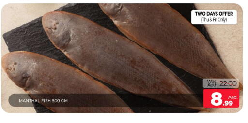 available at المدينة in الإمارات العربية المتحدة , الامارات - الشارقة / عجمان