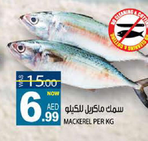 available at هاشم هايبرماركت in الإمارات العربية المتحدة , الامارات - الشارقة / عجمان