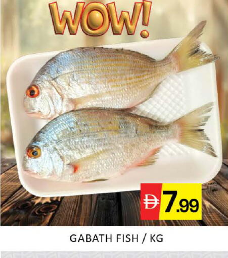 Mango available at مانجو هايبرماركت in الإمارات العربية المتحدة , الامارات - دبي