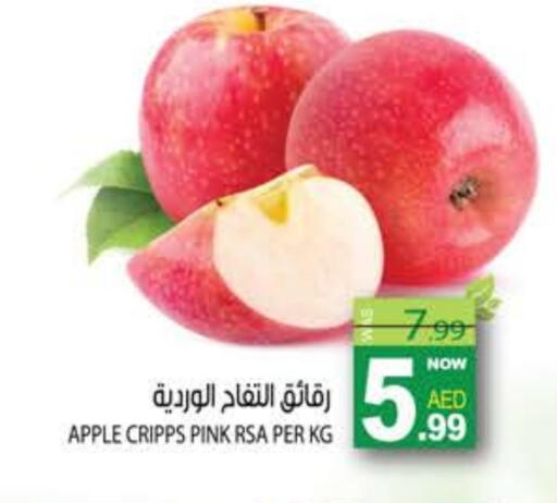 Apple available at هاشم هايبرماركت in الإمارات العربية المتحدة , الامارات - الشارقة / عجمان