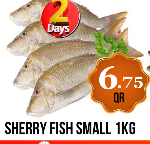 available at Dubai Shopping Center in Qatar - Doha