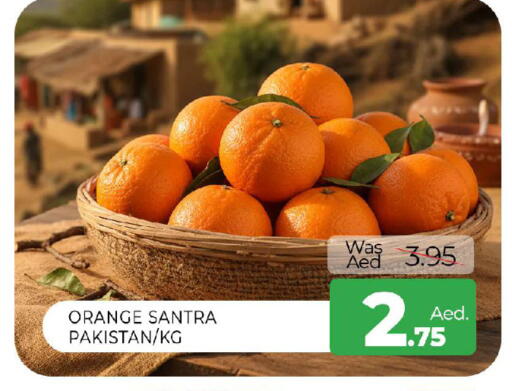 Orange from Pakistan available at المدينة in الإمارات العربية المتحدة , الامارات - الشارقة / عجمان