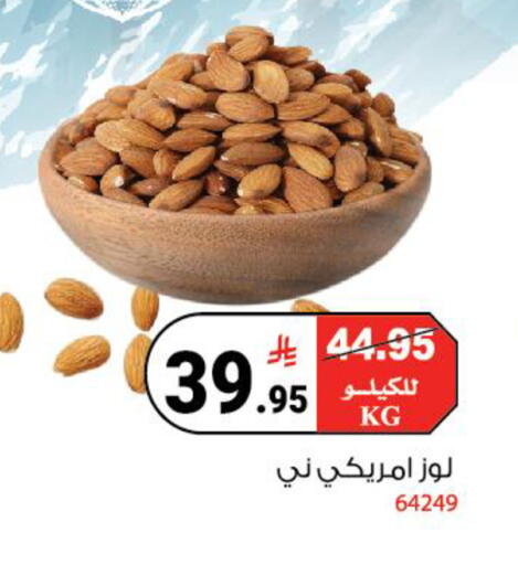 available at House Care in KSA, Saudi Arabia, Saudi - Mecca