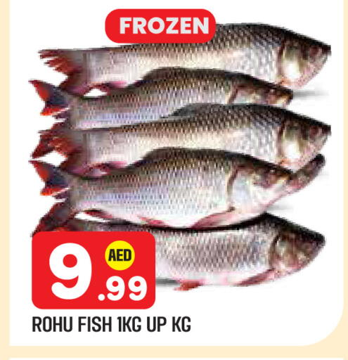 available at سنابل بني ياس in الإمارات العربية المتحدة , الامارات - أبو ظبي