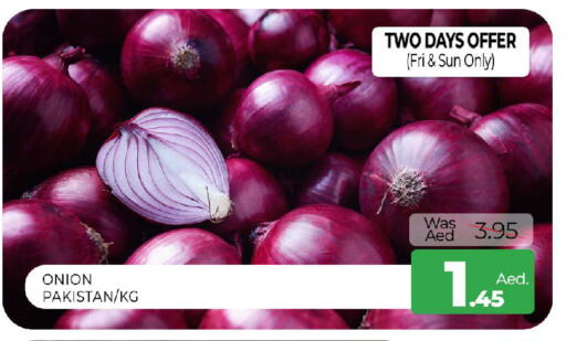 Onion from Pakistan available at المدينة in الإمارات العربية المتحدة , الامارات - الشارقة / عجمان