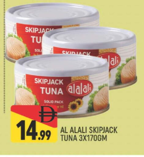 available at المدينة in الإمارات العربية المتحدة , الامارات - دبي