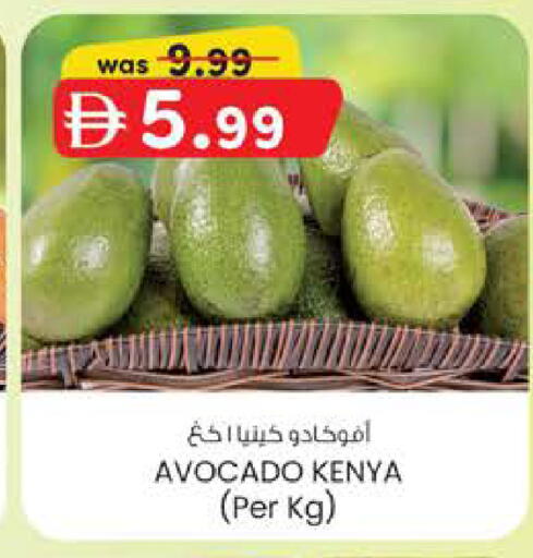 Avocado from Kenya available at ك. الم. للتجارة in الإمارات العربية المتحدة , الامارات - الشارقة / عجمان