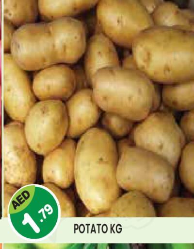 Potato available at سنابل بني ياس in الإمارات العربية المتحدة , الامارات - أبو ظبي