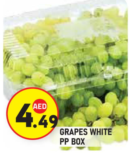 Grapes available at سنابل بني ياس in الإمارات العربية المتحدة , الامارات - أبو ظبي