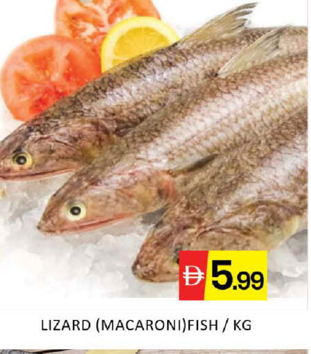 Mango available at مانجو هايبرماركت in الإمارات العربية المتحدة , الامارات - دبي