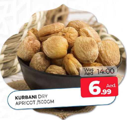 Apricot available at المدينة in الإمارات العربية المتحدة , الامارات - الشارقة / عجمان