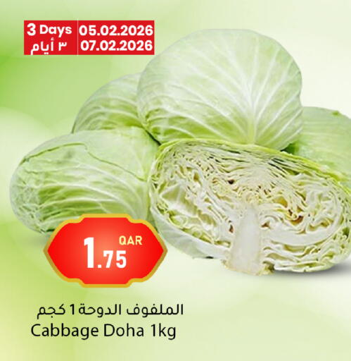 Cabbage from Qatar available at دانا ماركت in قطر - أم صلال