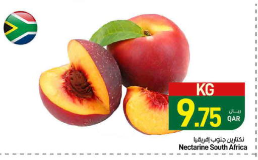 Nectarine from South Africa available at SPAR in Qatar - Doha