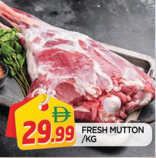 available at AL MADINA in UAE - Sharjah / Ajman