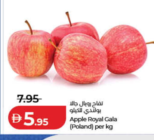 Apple from Poland available at Lulu Hypermarket in UAE - Dubai