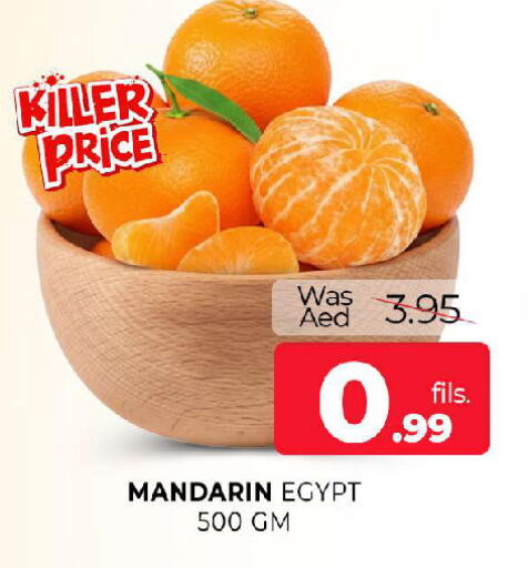 Mandarin from Egypt available at المدينة in الإمارات العربية المتحدة , الامارات - الشارقة / عجمان