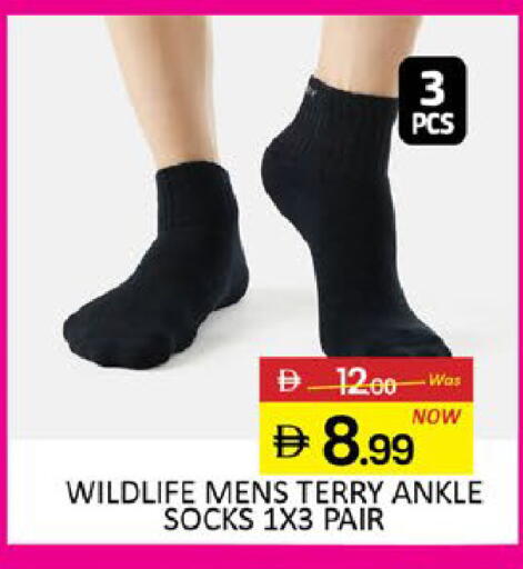 Mango available at مانجو هايبرماركت in الإمارات العربية المتحدة , الامارات - دبي