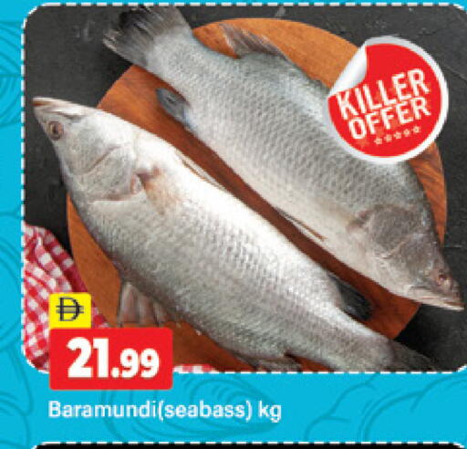 available at المدينة in الإمارات العربية المتحدة , الامارات - دبي