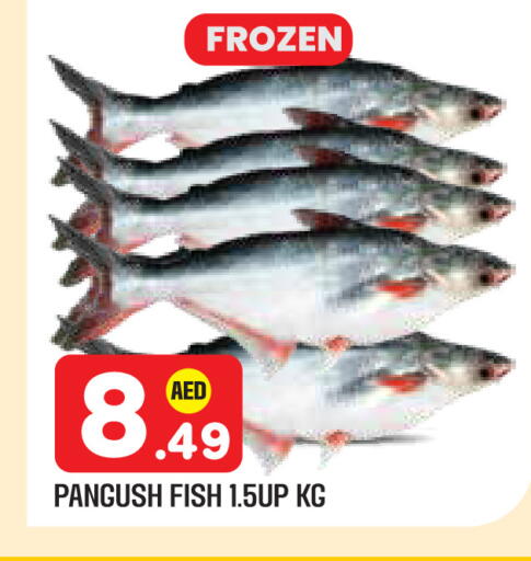 available at سنابل بني ياس in الإمارات العربية المتحدة , الامارات - أبو ظبي