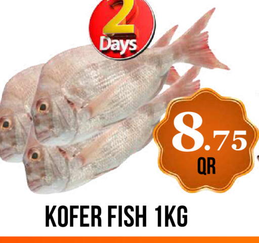 available at Dubai Shopping Center in Qatar - Doha