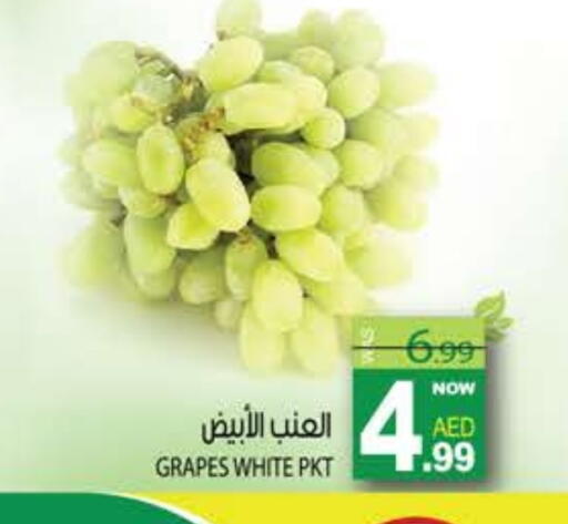 Grapes available at هاشم هايبرماركت in الإمارات العربية المتحدة , الامارات - الشارقة / عجمان