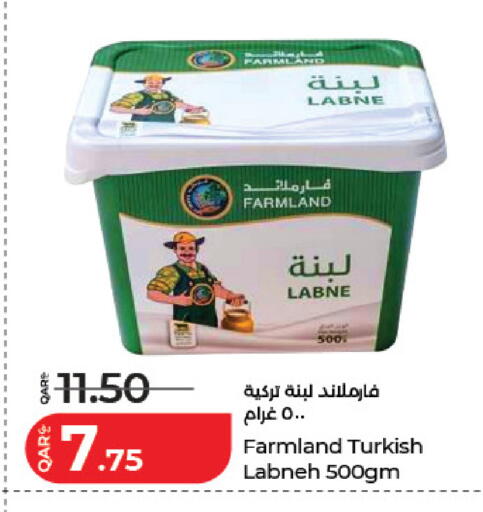available at لولو هايبرماركت in قطر - الضعاين