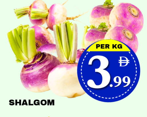 available at مركز نيو داي in الإمارات العربية المتحدة , الامارات - دبي