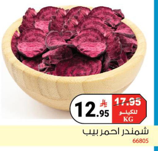 available at House Care in KSA, Saudi Arabia, Saudi - Mecca