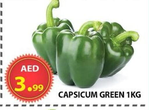 Capsicum available at مركز الوحدة للتخفيضات in الإمارات العربية المتحدة , الامارات - الشارقة / عجمان