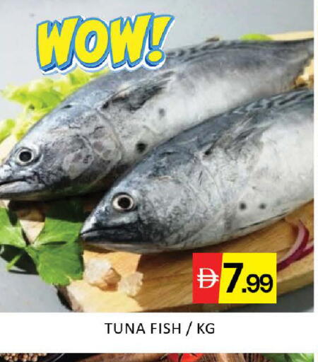 Mango available at مانجو هايبرماركت in الإمارات العربية المتحدة , الامارات - دبي