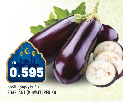 Eggplant from Kuwait available at Oncost in Kuwait - Ahmadi Governorate