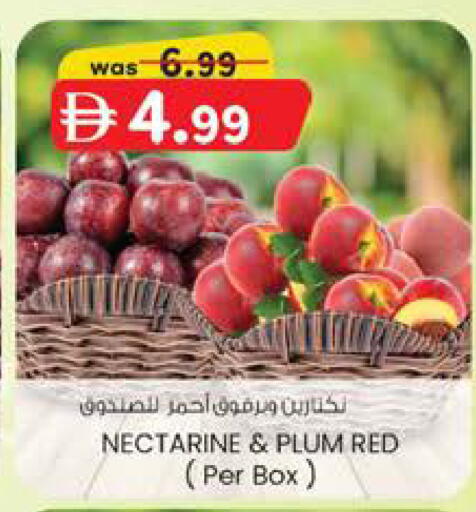 Nectarine Plum available at Al Safa in UAE - Abu Dhabi