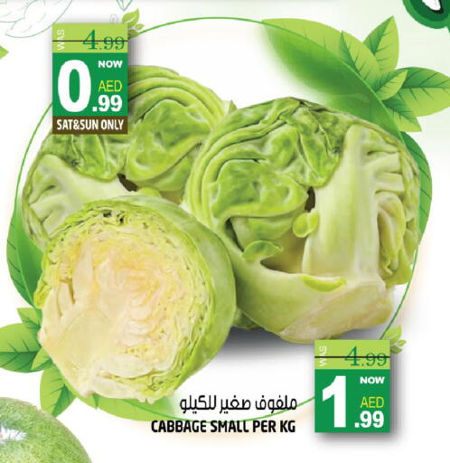 Cabbage available at هاشم هايبرماركت in الإمارات العربية المتحدة , الامارات - الشارقة / عجمان