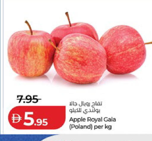 Apple from Poland available at لولو هايبرماركت in الإمارات العربية المتحدة , الامارات - أبو ظبي
