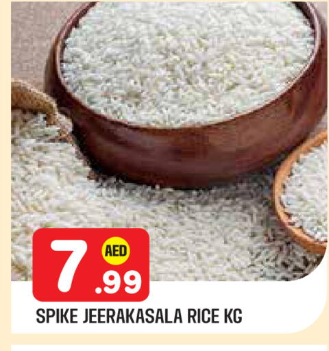 available at سنابل بني ياس in الإمارات العربية المتحدة , الامارات - أبو ظبي