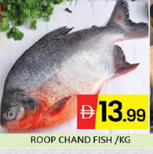 Mango available at مانجو هايبرماركت in الإمارات العربية المتحدة , الامارات - دبي