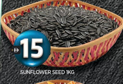 available at المدينة in الإمارات العربية المتحدة , الامارات - الشارقة / عجمان