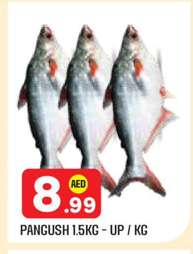 available at سنابل بني ياس in الإمارات العربية المتحدة , الامارات - أبو ظبي