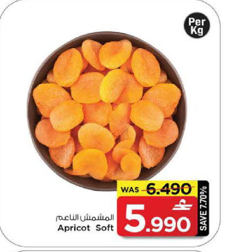Apricot available at مارك & سايف in عُمان - مسقط‎