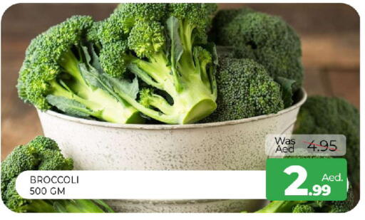 Broccoli available at المدينة in الإمارات العربية المتحدة , الامارات - الشارقة / عجمان