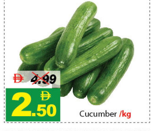 Cucumber available at ديزرت فريش ماركت in الإمارات العربية المتحدة , الامارات - أبو ظبي