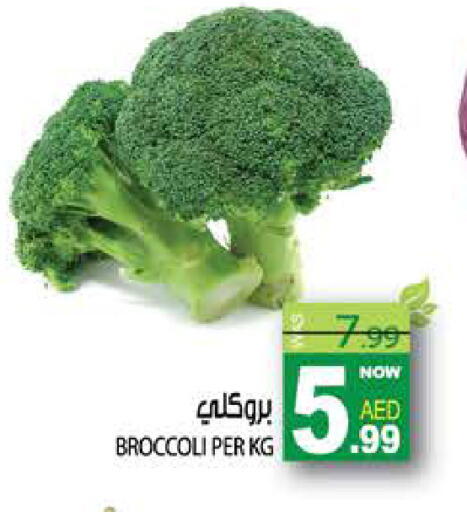 Broccoli available at هاشم هايبرماركت in الإمارات العربية المتحدة , الامارات - الشارقة / عجمان