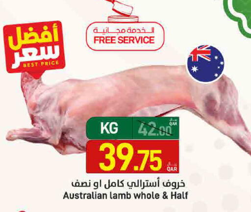 available at ســبــار in قطر - الدوحة