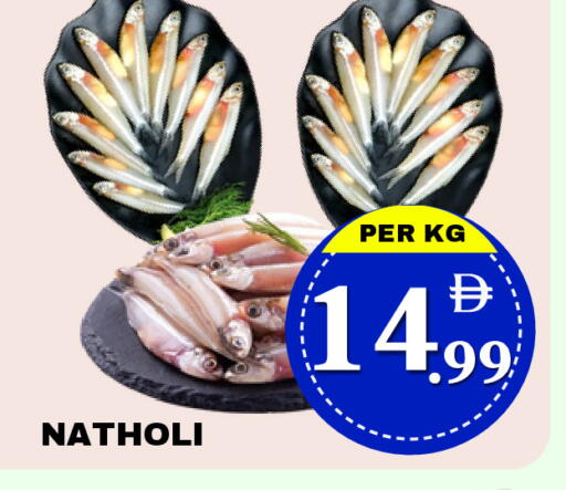 available at مركز نيو داي in الإمارات العربية المتحدة , الامارات - دبي