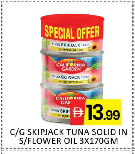 Mango available at مانجو هايبرماركت in الإمارات العربية المتحدة , الامارات - دبي