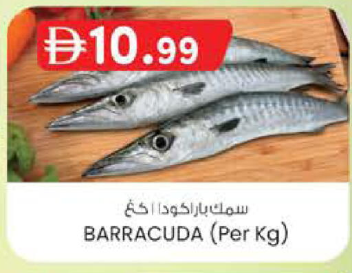 available at ك. الم. للتجارة in الإمارات العربية المتحدة , الامارات - الشارقة / عجمان